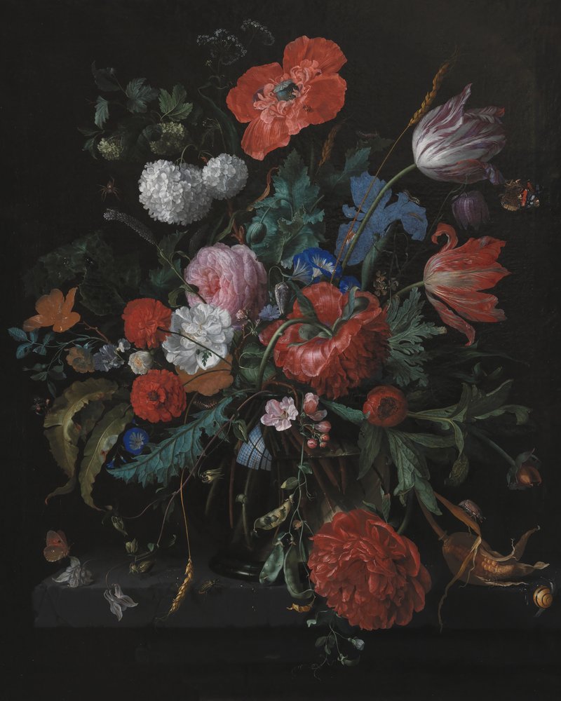  da Jacob van Walscapelle