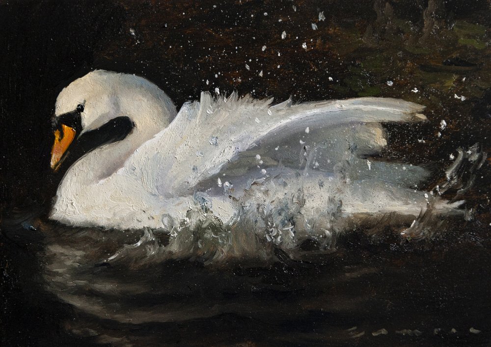 Il cigno danzante da James Zamora