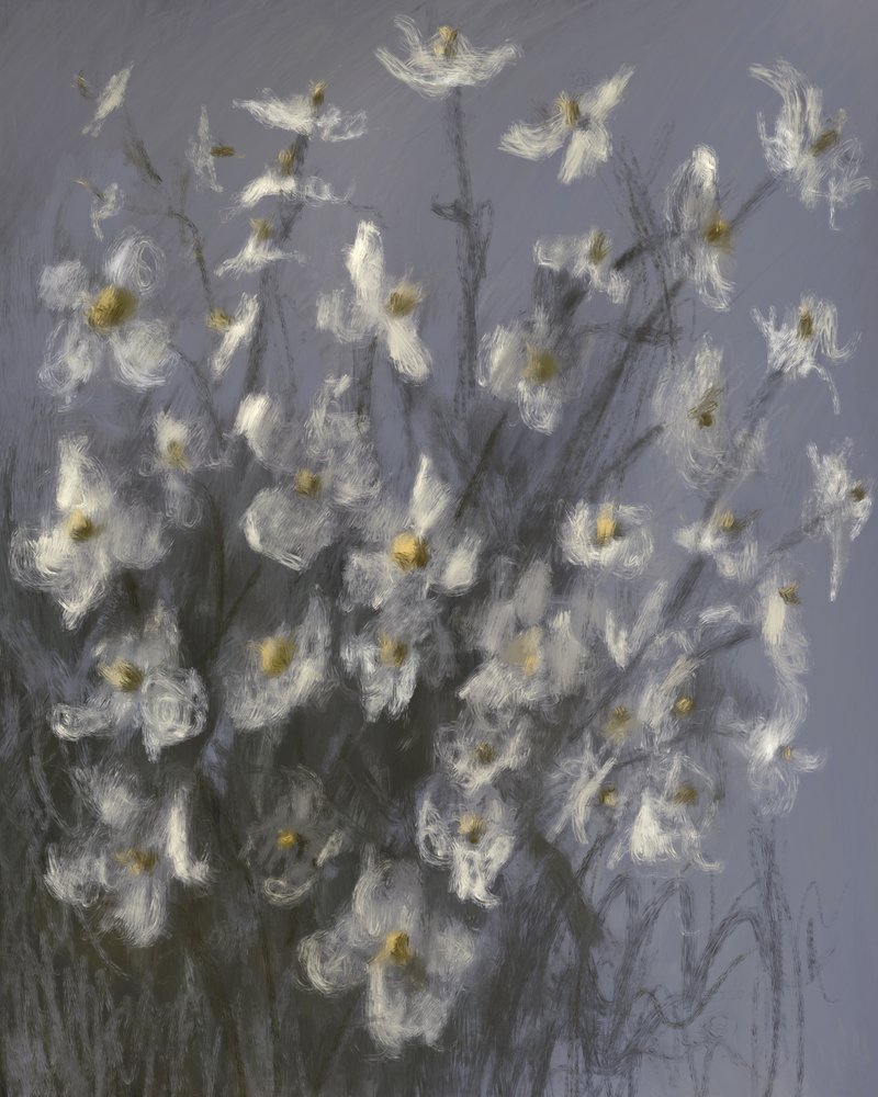 Fiori bianchi da sogno da James Zamora