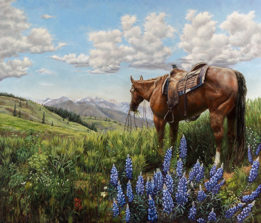 Cavallo in un pascolo di montagna da Jan Clizer