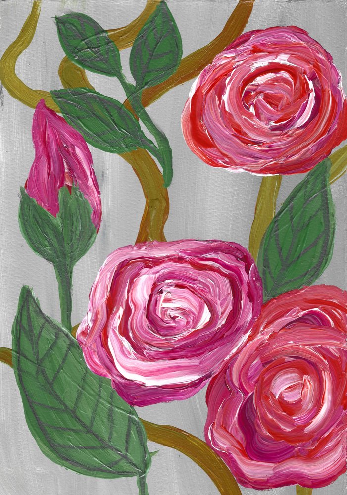 Rose rosa in fiore da Janine Brewster