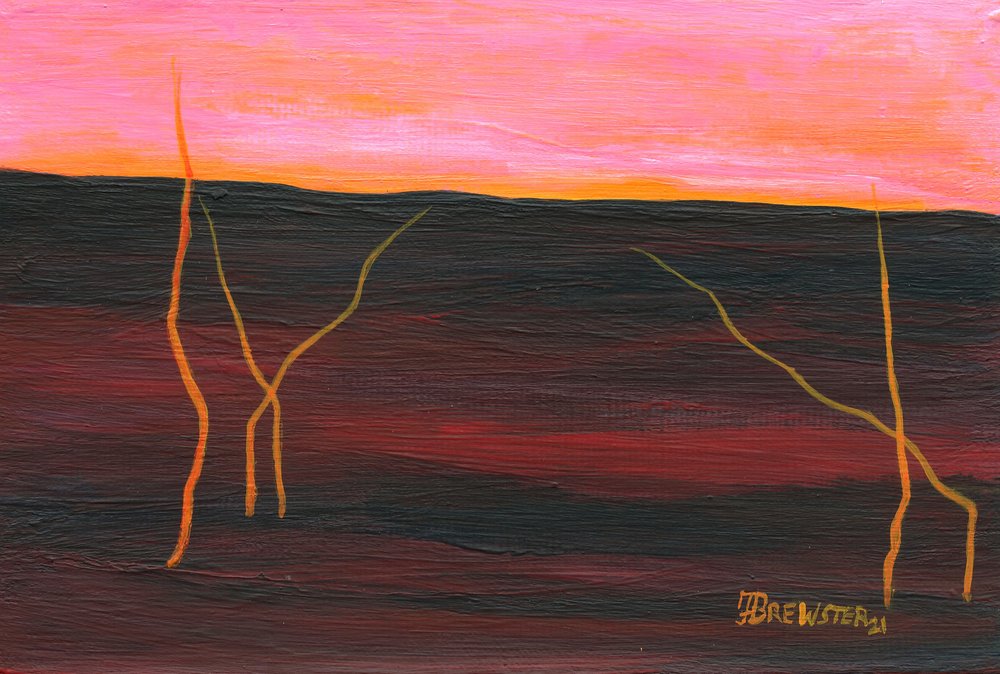 Orizzonte infuocato del deserto da Janine Brewster