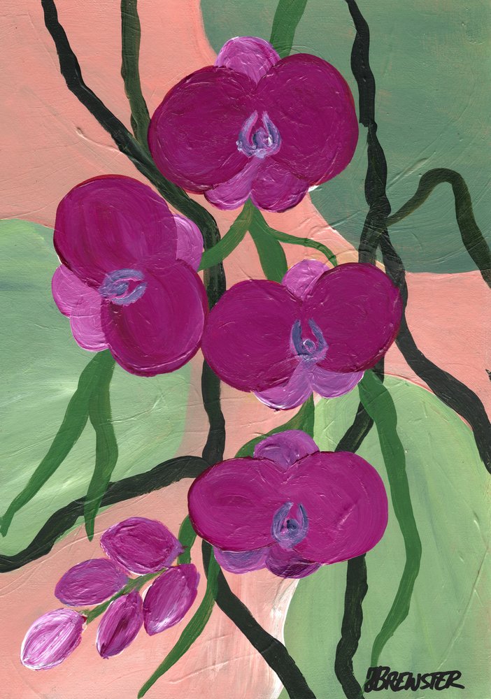 Fiori di orchidea magenta da Janine Brewster