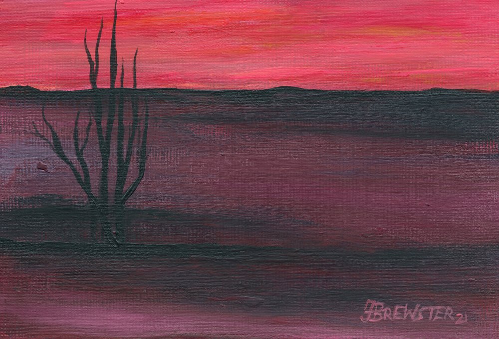 Crepuscolo nel deserto rosa da Janine Brewster