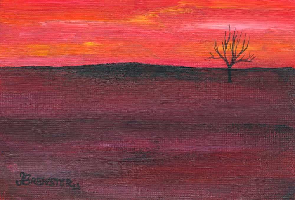 Albero solitario al tramonto da Janine Brewster