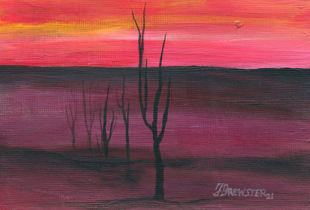 Un tramonto mozzafiato nel deserto da Janine Brewster