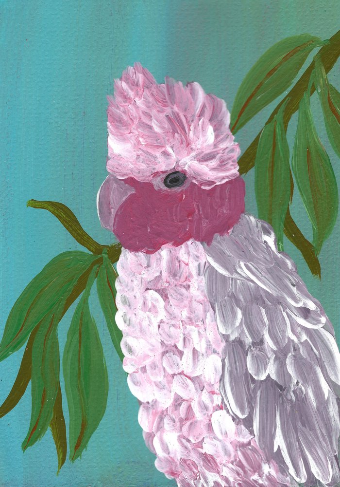Cacatua rosa brillante da Janine Brewster