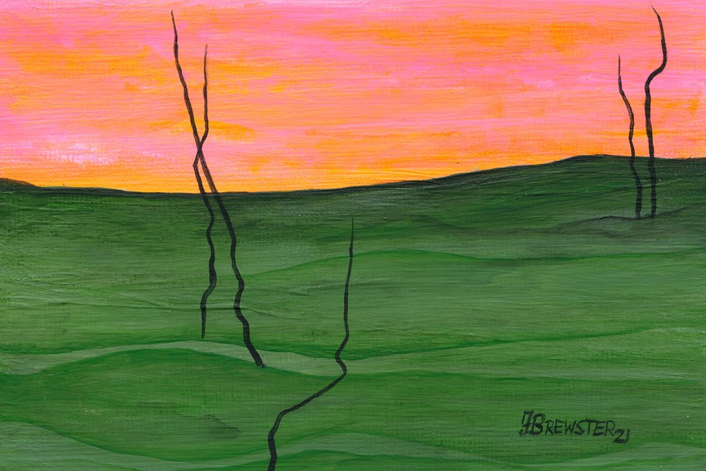 Colline di un verde cielo vivace da Janine Brewster