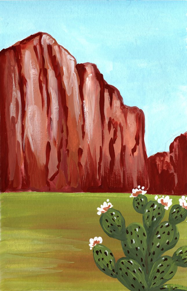 Fioritura dei cactus del sud-ovest da Jasmine Goodwin