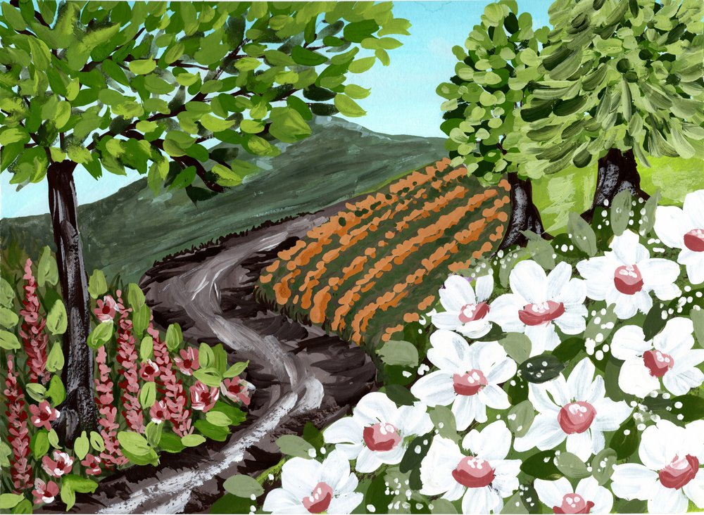 Sentiero tra i vigneti fiorito da Jasmine Goodwin
