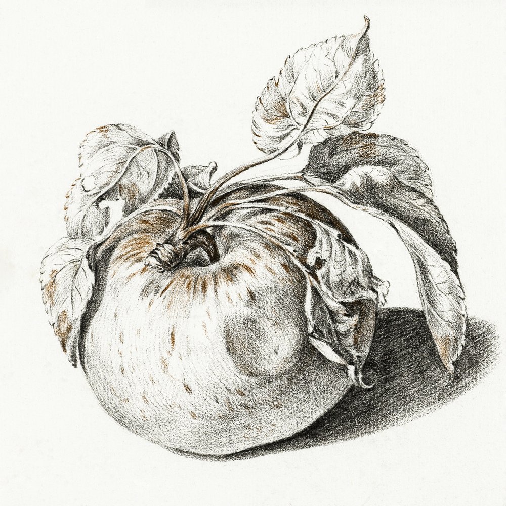 Apple da Jean Bernard