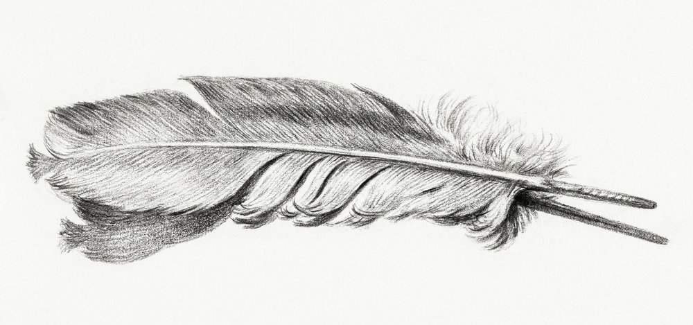 Piuma da Jean Bernard