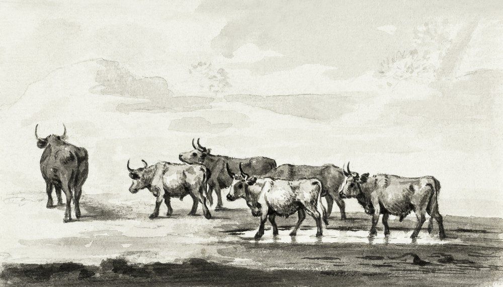 Gruppo di sei tori da Jean Bernard