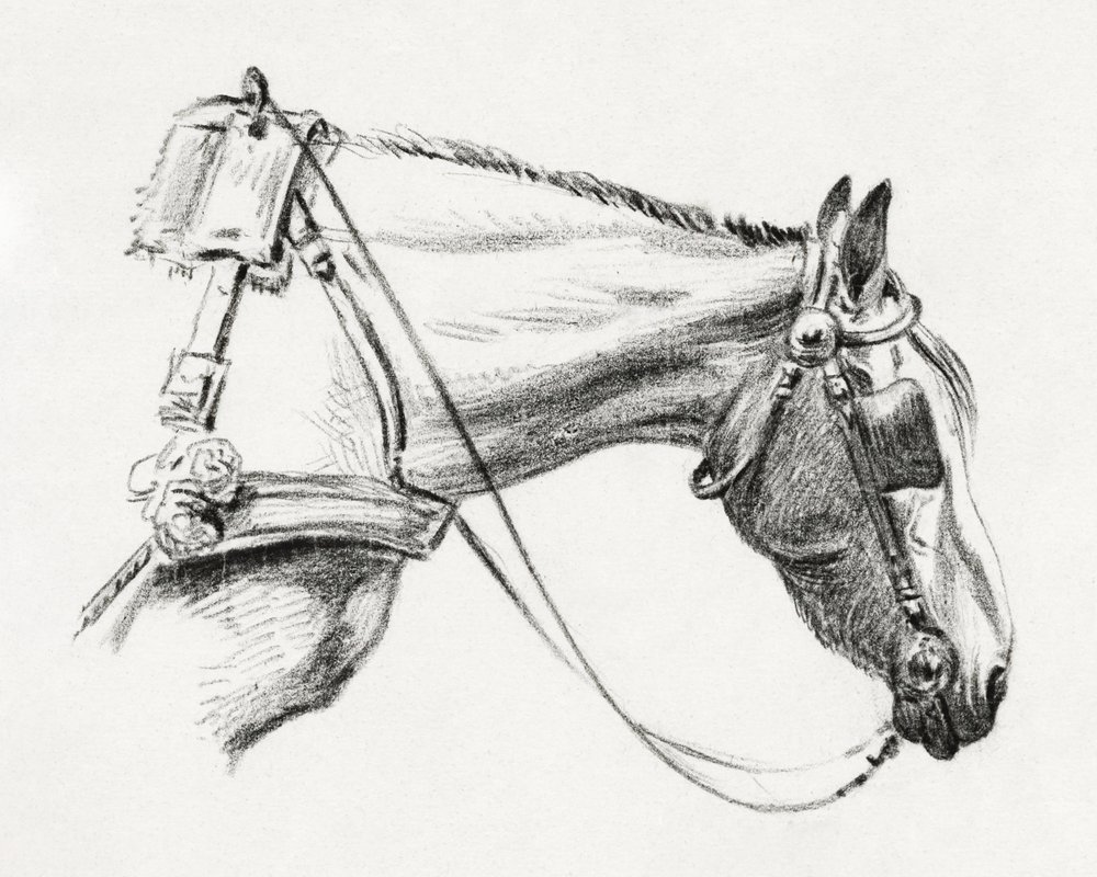 Testa di cavallo (1820) da Jean Bernard