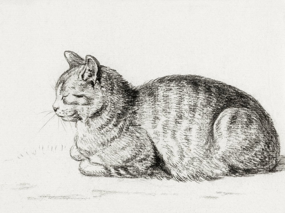 Il gatto sdraiato (1811) da Jean Bernard