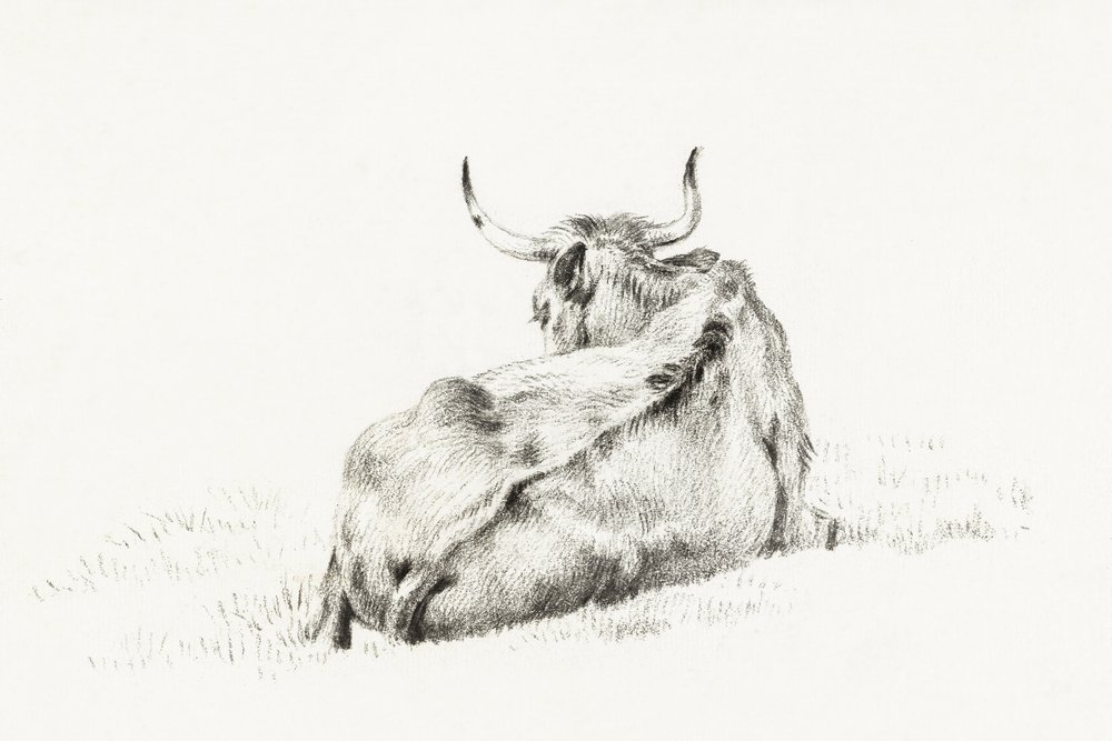 La mucca sdraiata (1815) da Jean Bernard