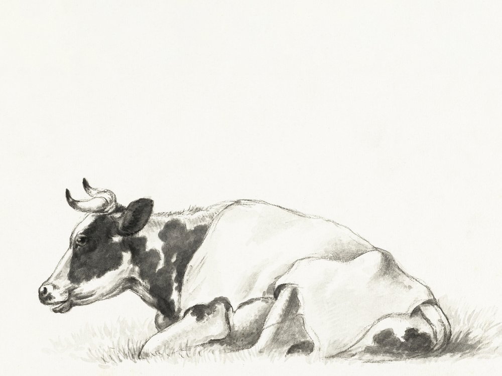 La mucca sdraiata di Jean Bernard da Jean Bernard