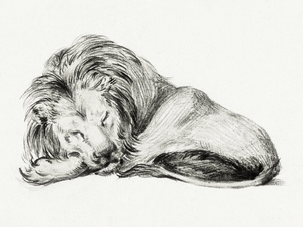 Il leone sdraiato da Jean Bernard