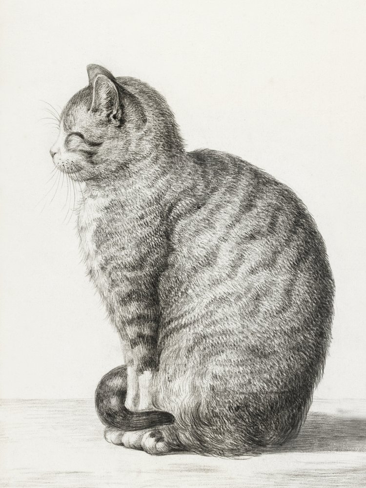 Gatto seduto (1815) da Jean Bernard