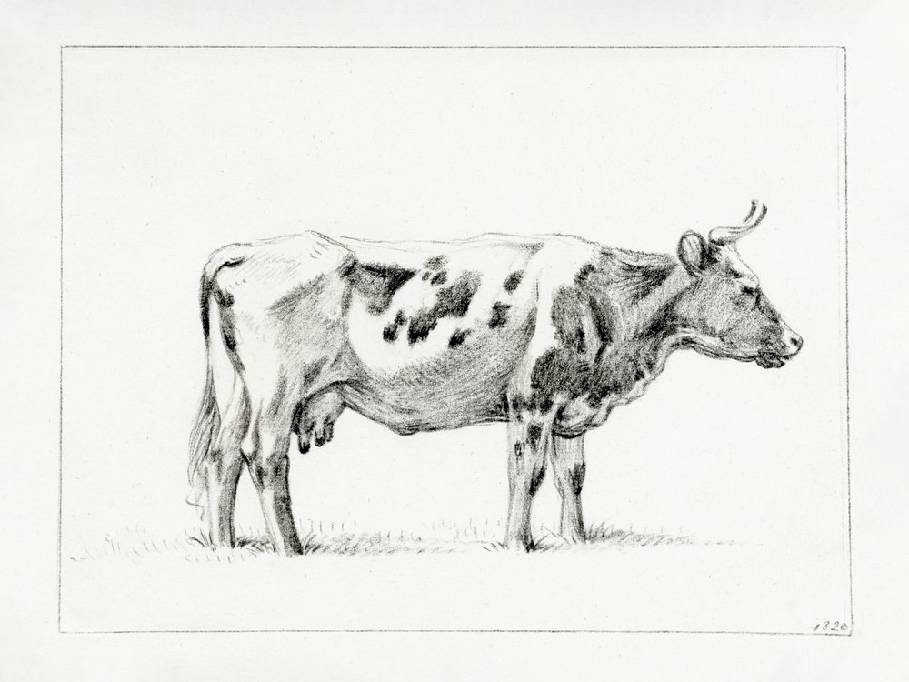 Mucca in piedi (1820) da Jean Bernard