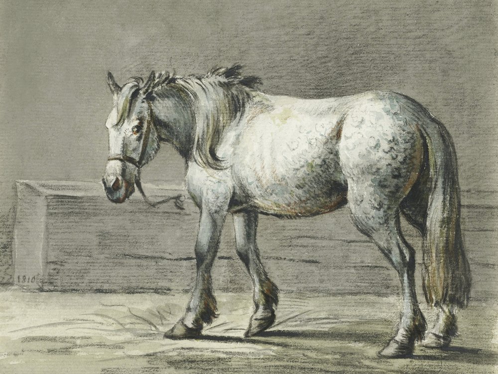 Cavallo in piedi (1810–1816) di Jean Bernard da Jean Bernard