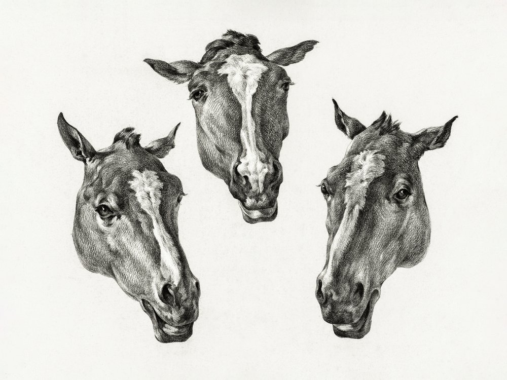 Tre teste di cavallo (1812) da Jean Bernard