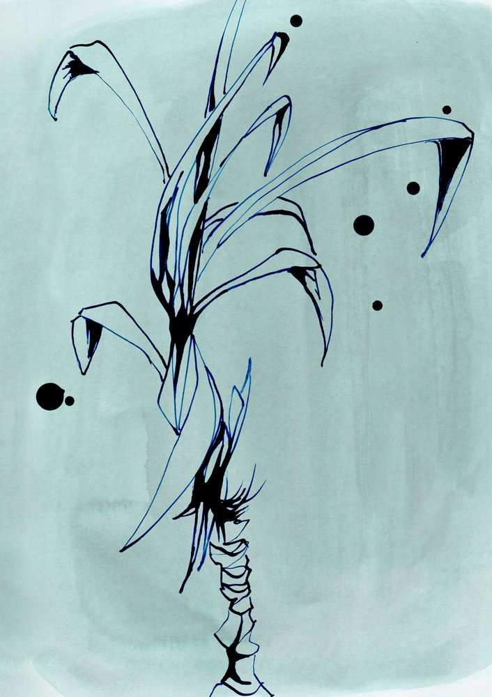 Disegno minimalista di una pianta da Jenja Braun