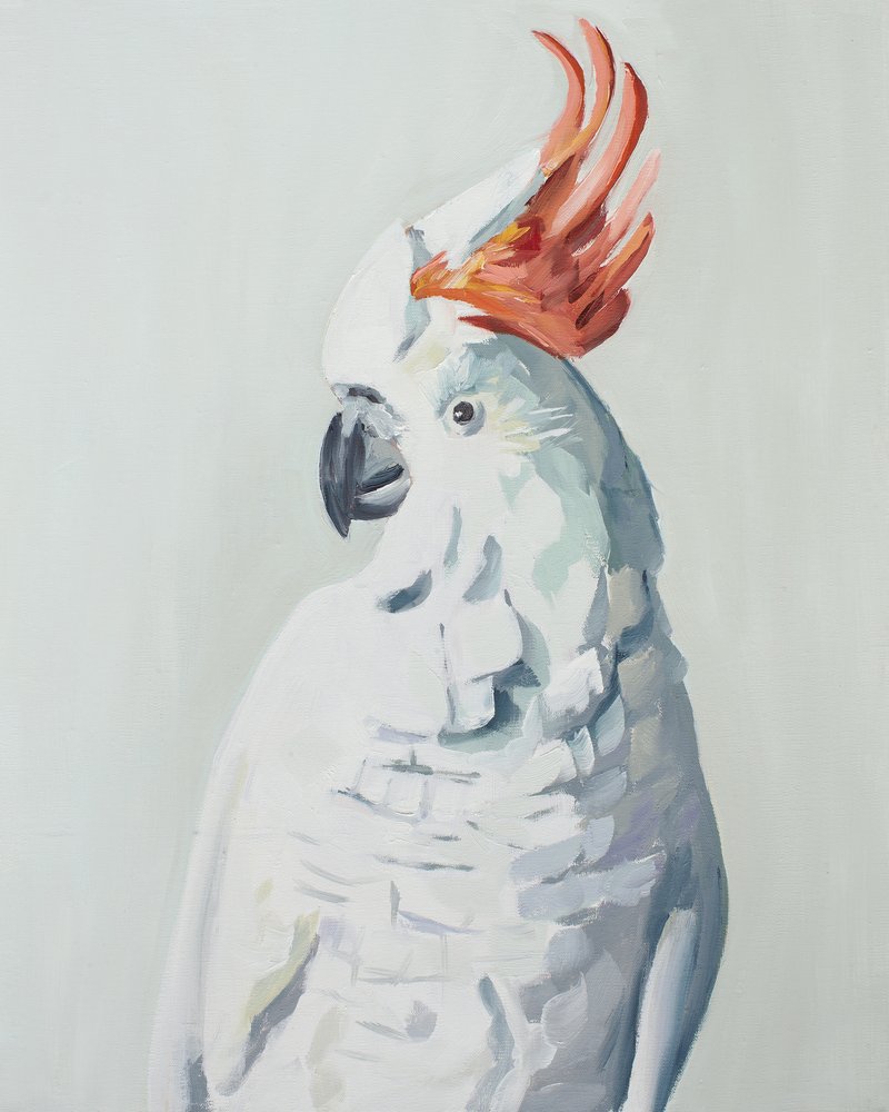 da Jenny Westenhofer