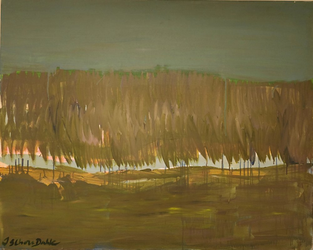 Vasto paesaggio palustre da Joackim Schou Dahle