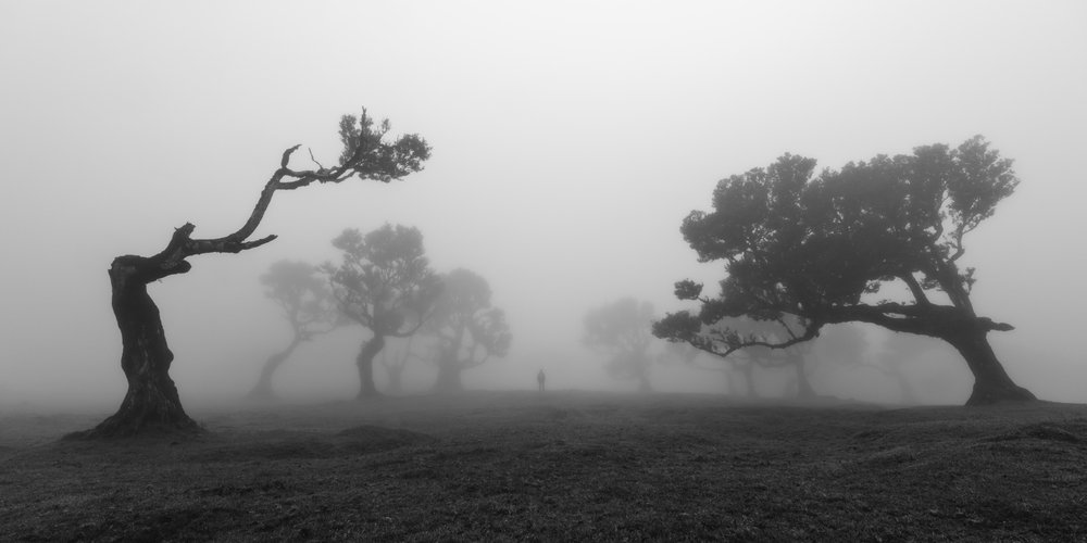  da Jochen Bongaerts