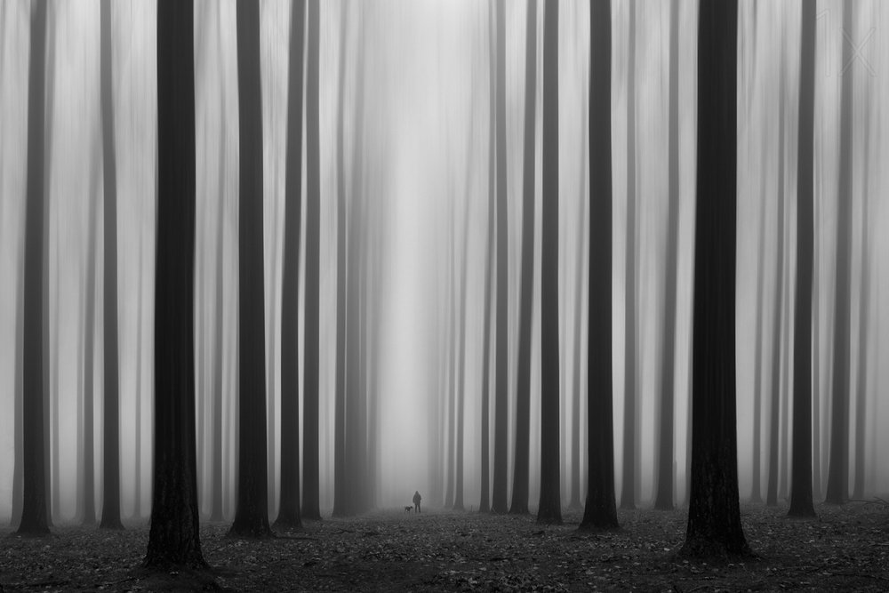 Sentiero nella foresta nebbiosa da Jochen Bongaerts