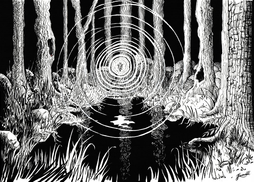 Le increspature della foresta mistica da Johan Liewendahl