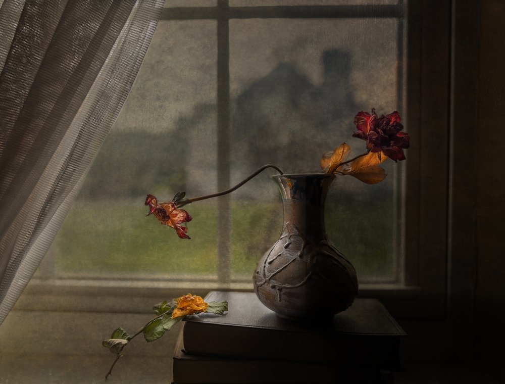 Vista dalla finestra con rose essiccate da John-Mei Zhong