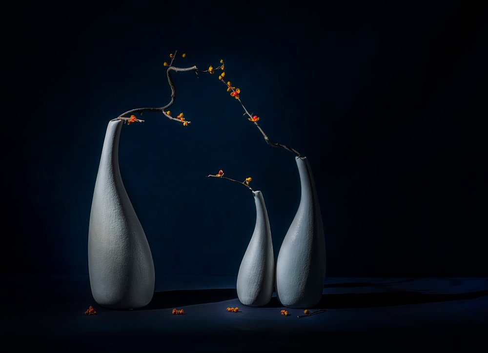 Vasi eleganti con fiori da John-Mei Zhong
