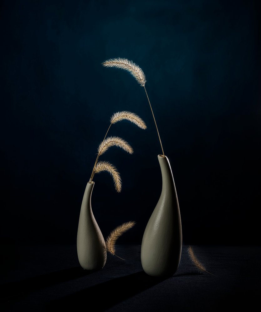 Vasi botanici Moody da John-Mei Zhong