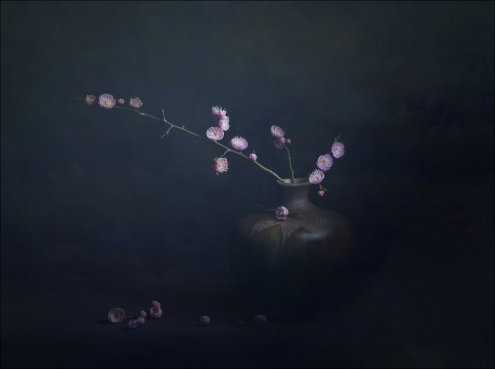 Natura morta con fiori di prugno da John-Mei Zhong