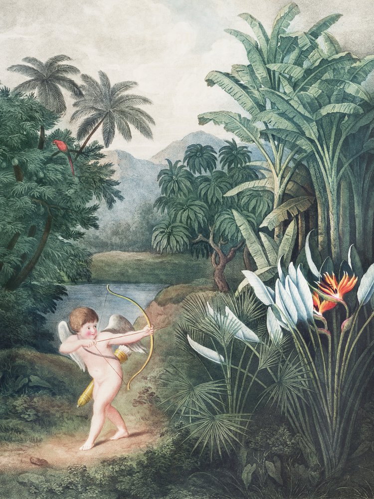 Cupido ispira le piante con l