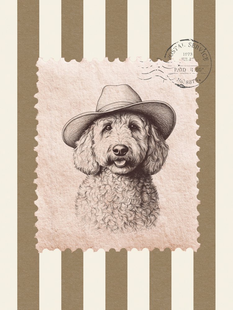 Timbro Cowboy Goldendoodle da Jolly and Dash