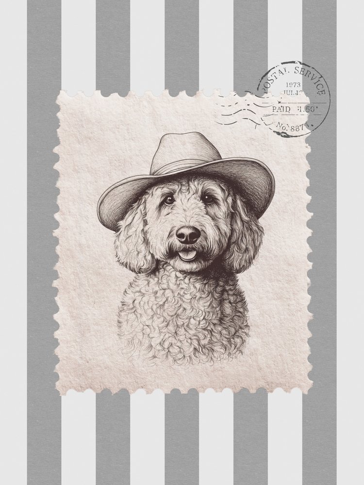Timbro Cowboy Goldendoodle da Jolly and Dash