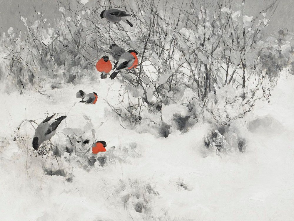 Fringuelli rossi nella neve da Jolly and Dash