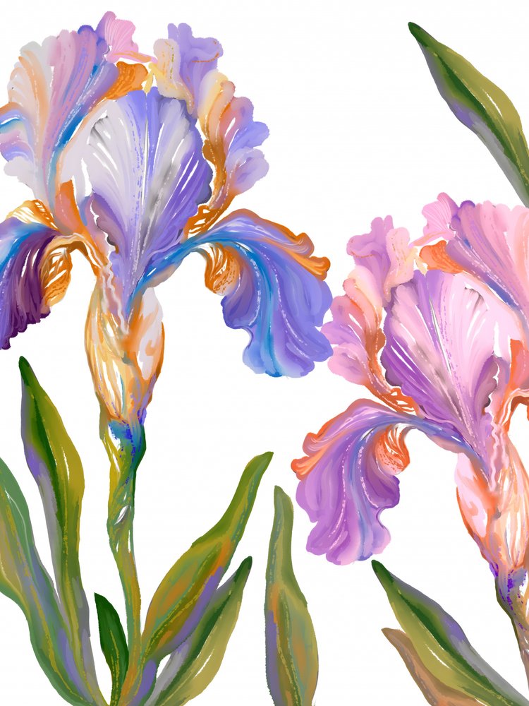 Iris dai colori vivaci in fiore da Josie George