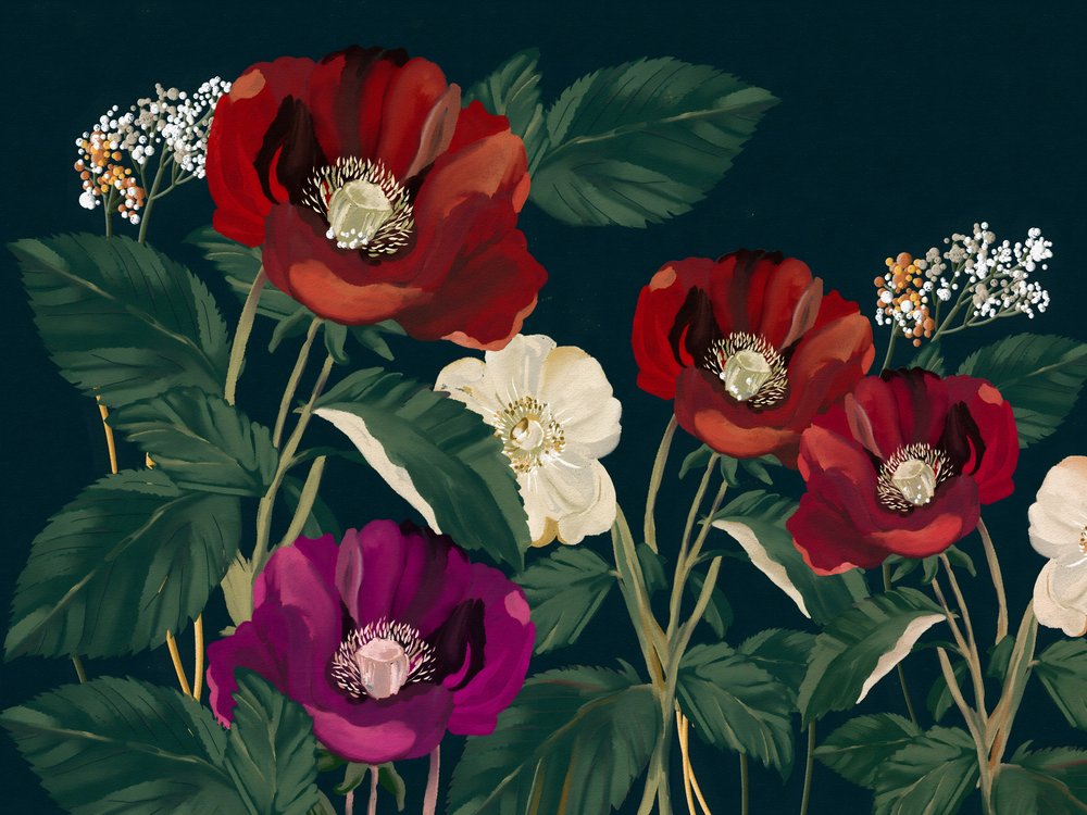 Eleganti papaveri scuri da Josie George