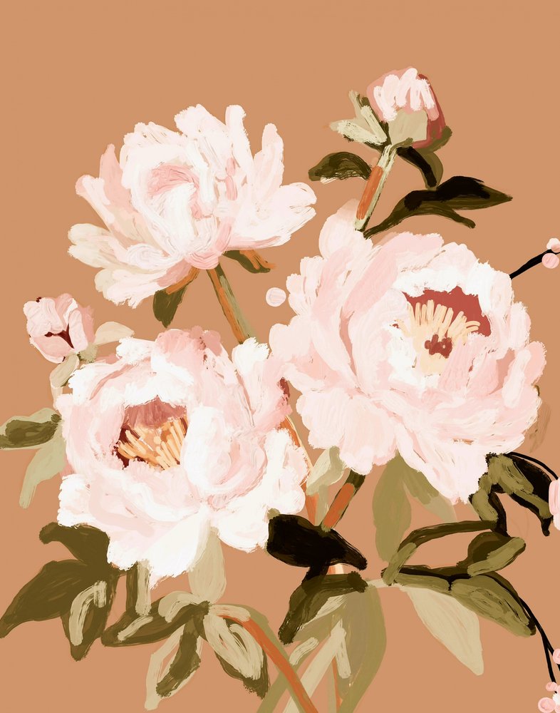 Peonie rosa tenue da Josie George