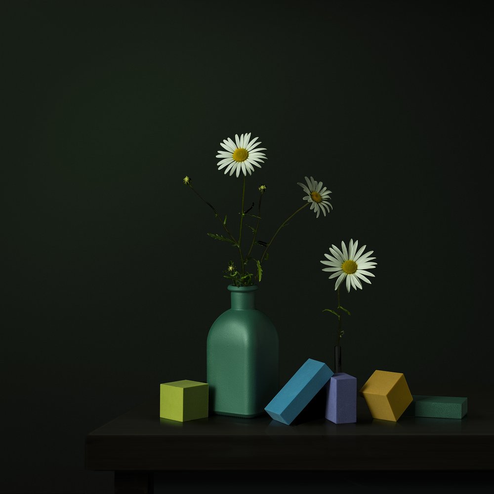 Vaso Daisy con motivi geometrici da Juan Antonio Palacios