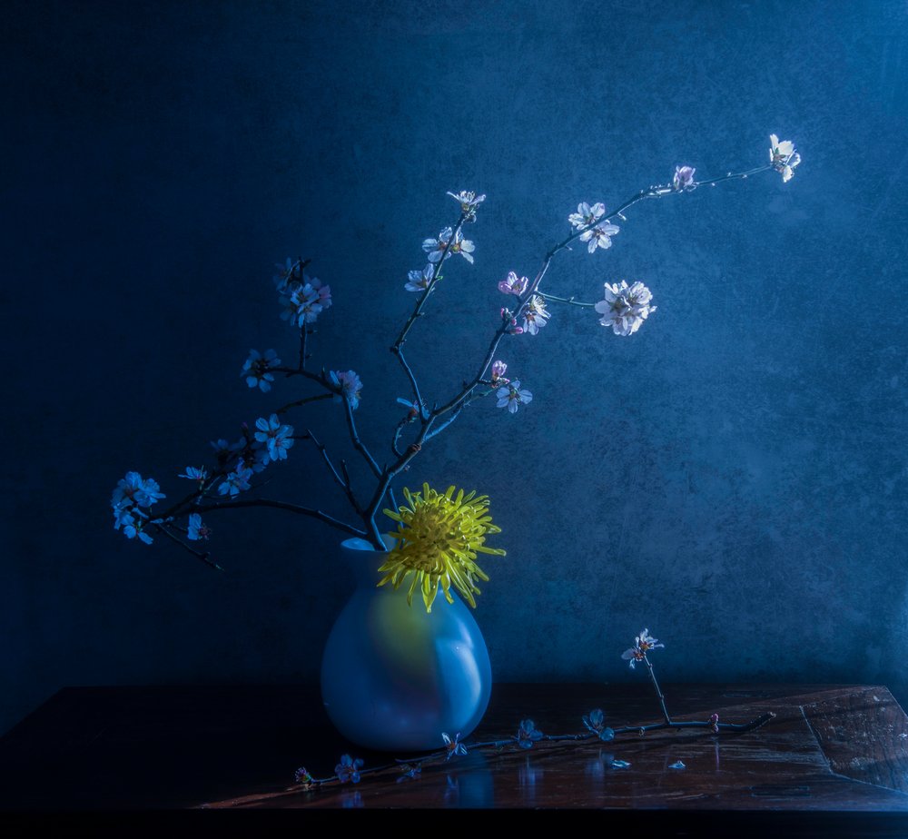 Fiori blu e vaso da Judy Tseng