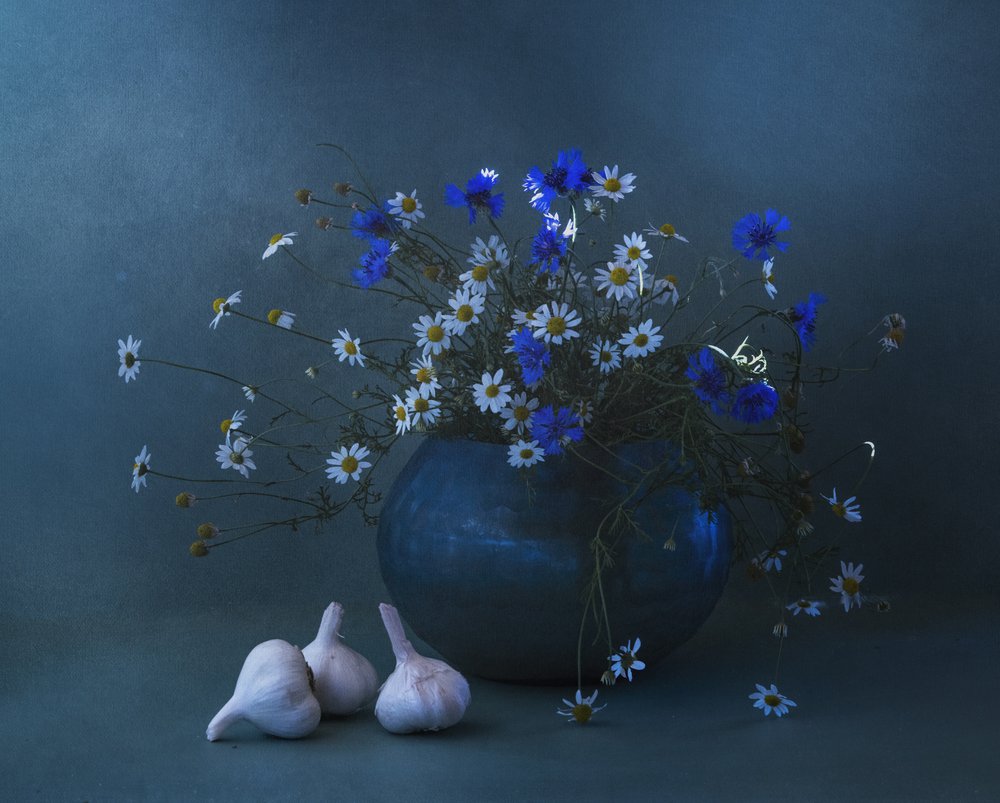 Natura morta con margherite blu e aglio da Judy Tseng