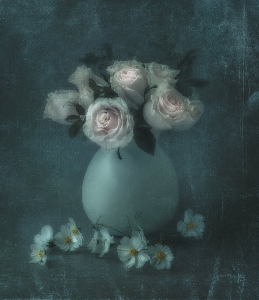 Rose dai colori pastello da sogno da Judy Tseng