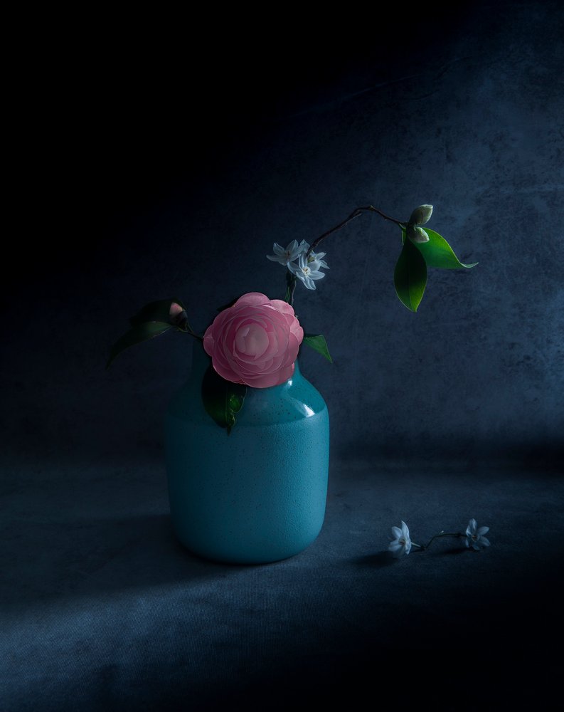 Fioritura rosa malinconica da Judy Tseng