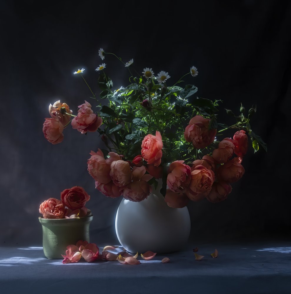 Natura morta con rose malinconiche da Judy Tseng
