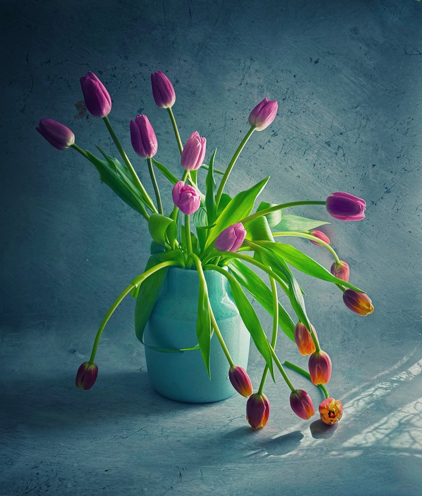 Tulipani dai colori vivaci e dai petali ricadenti da Judy Tseng